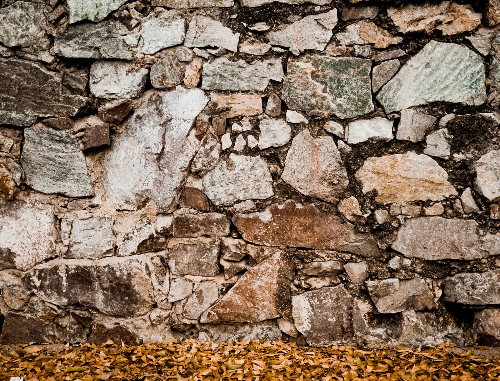 Stone wall with autumn leaves showing texture
