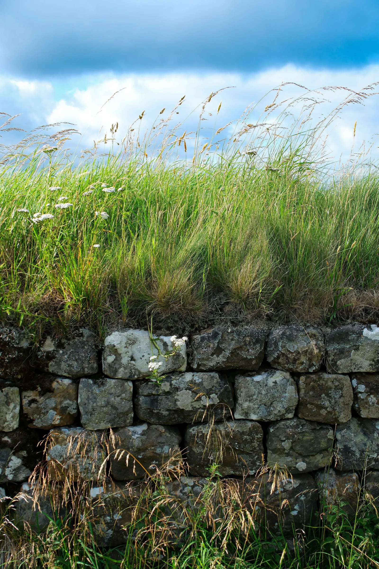 Rustic stone wall topped with lush grass