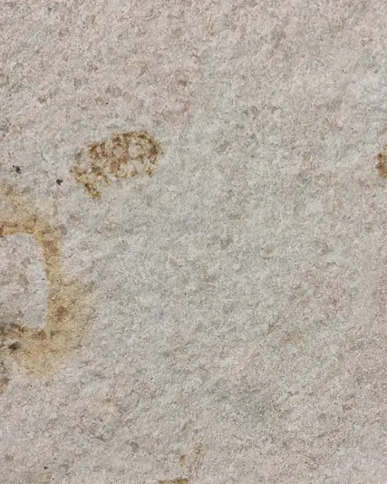 Atlantic White marble veneer sheet