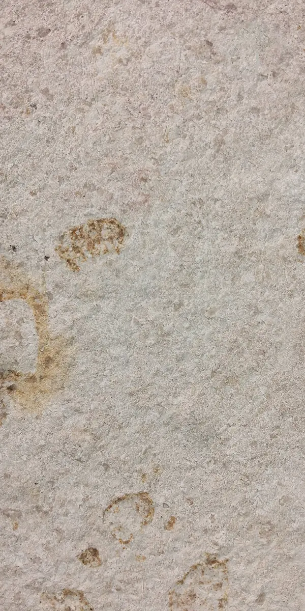 Atlantic White marble veneer sheet