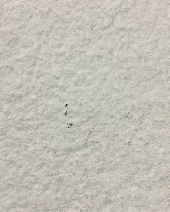 Crystal White slate veneer sheet