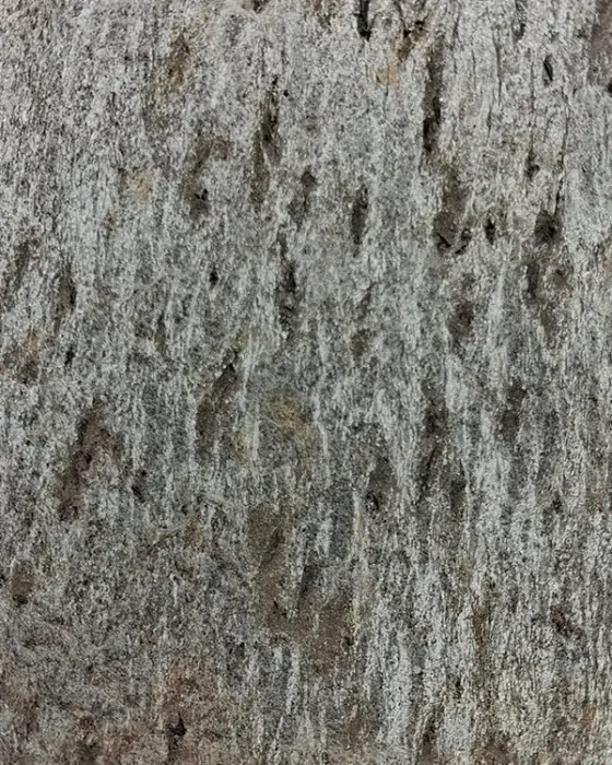 Silver Shine Gld slate veneer sheet