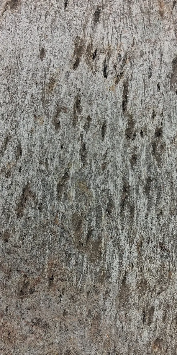 Silver Shine Gld slate veneer sheet