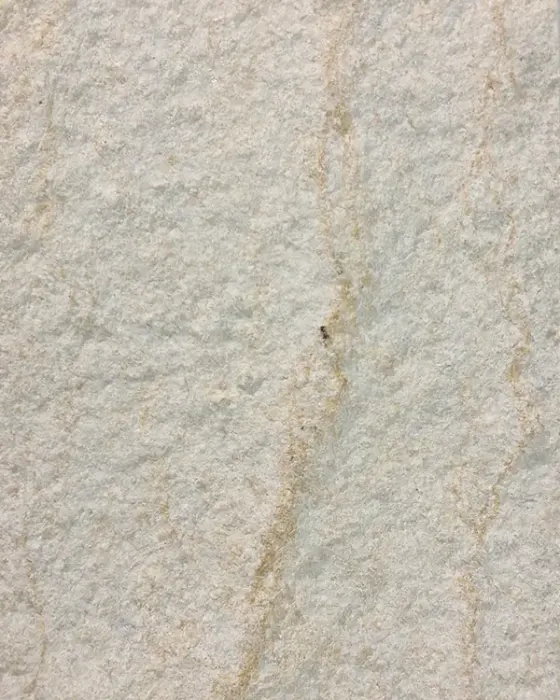 Silviya White marble veneer sheet